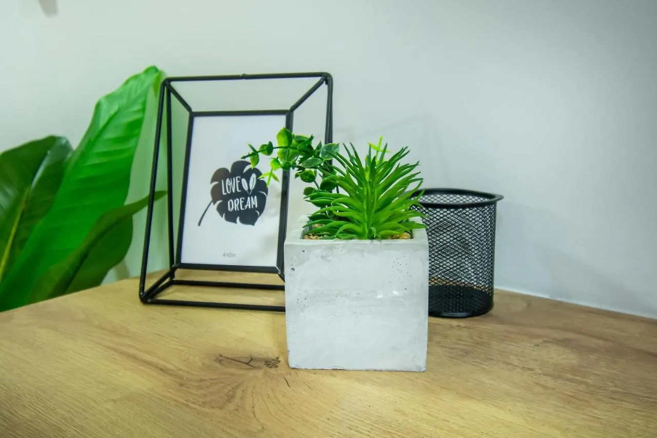Barcelo Coliving Apartment Medellin Colombia