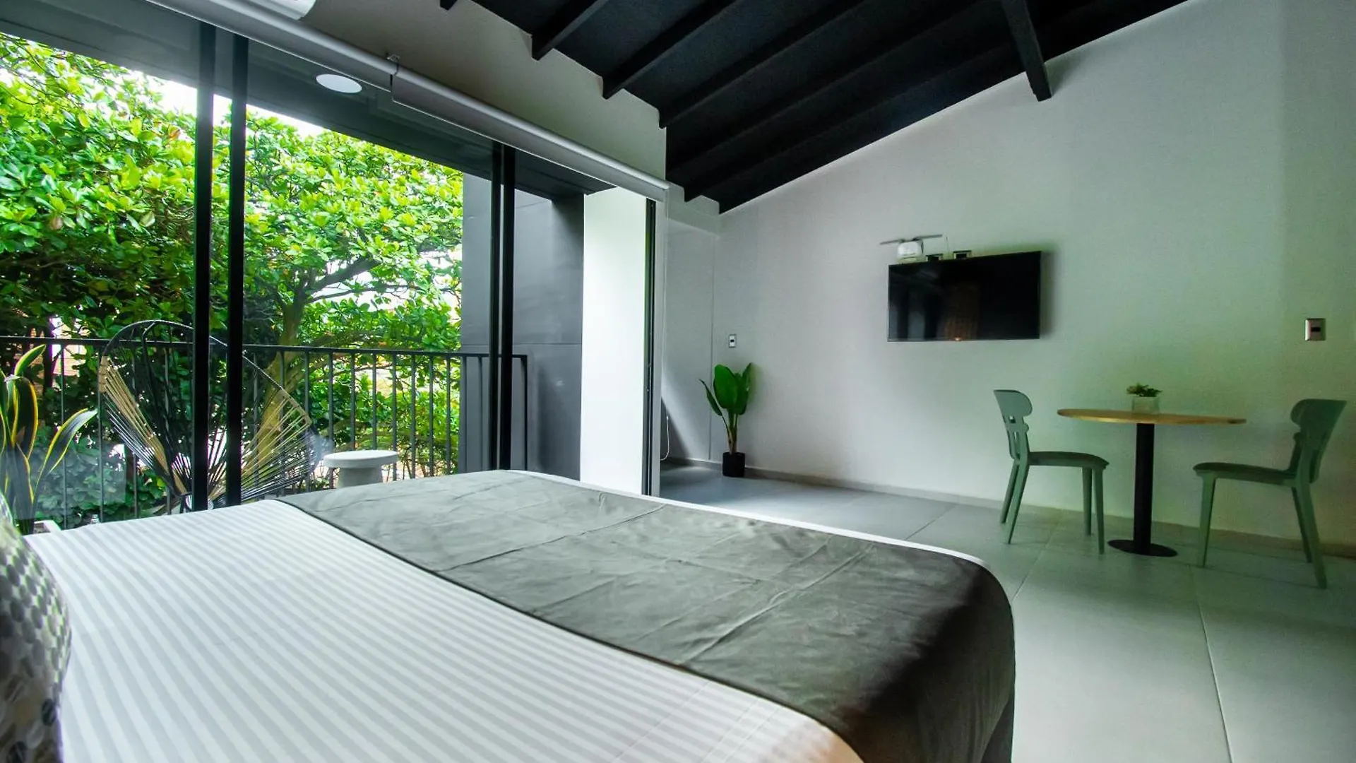 Barcelo Coliving Apartment Medellin Colombia